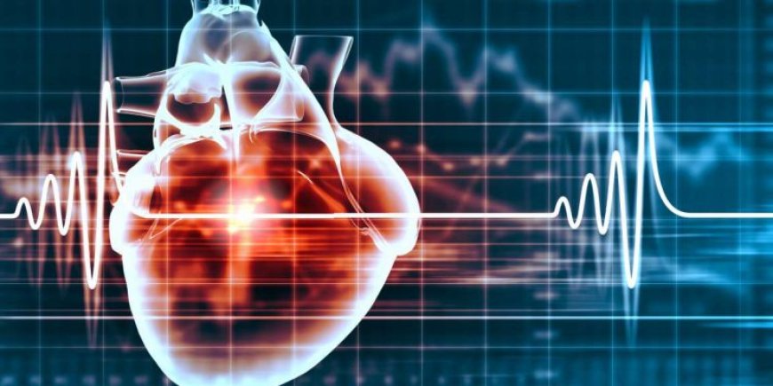 Heart disease calculator;  It will bring a new level in cardiovascular treatment